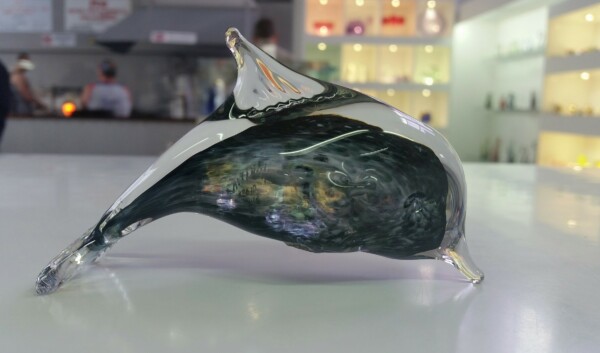 Dolphin