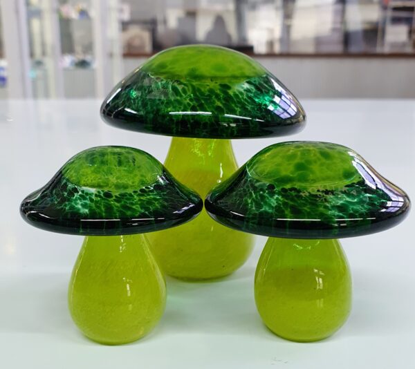 Set of 3 Mushrooms with coloured stems (Green/Lime) - Image 2